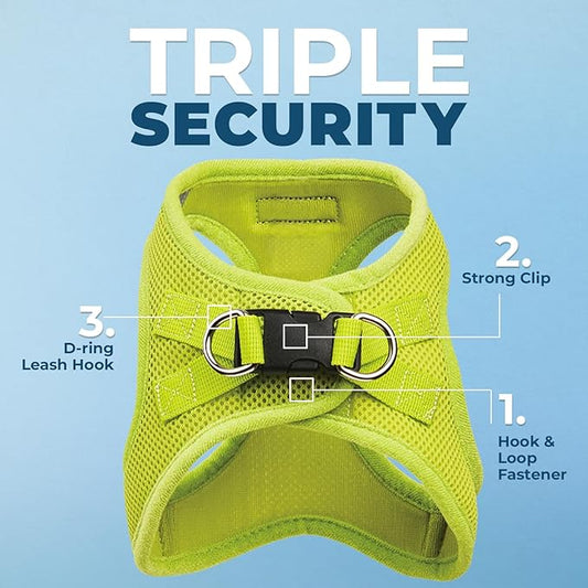Best Pet Supplies Voyager Step-in Air All Weather Mesh Harness and Reflective Dog 5 ft Leash Combo with Neoprene Handle, for Small, Medium and Large Breed Puppies - Set (Lime Green), XXS