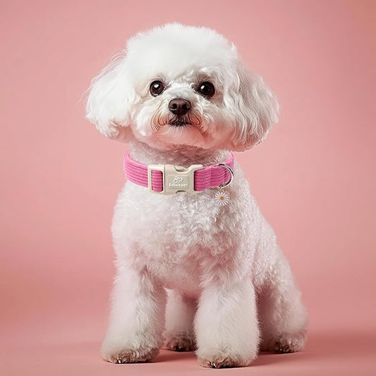 Cute Corduroy Dog Collar - Deep Rose Adjustable Dog Collars for X-Large Dogs 80+lbs, Fade-Proof with Secure Snap & Little Charm, Christmas Birthday Gift, XL