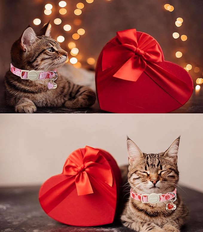 Cat Collar,2 Pack Cat Collars Breakaway with Bell, DOGWONG Safety Buckle Valentine's Day Cat Collar Pink Heart for Girl Boy Cats and Small Dogs,Adjustable 7-12 Inch,Pet Supplies Accessories