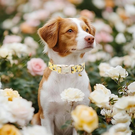 Bee & Daisy Dog Collar for Large Dogs - Spring/Summer Cartoon Yellow Dog Collars, Lightweight Adjustable Male Female Dogs Collars with Quick Release Buckle L