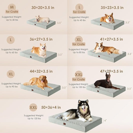 EHEYCIGA Orthopedic Medium Dog Beds for Small Dogs with Removable Washable Cover for Crate, Greyish Green, 30x20