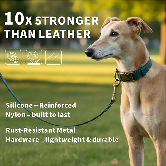 Dog Collar and Leash Set,Leather Silicone Waterproof Odor-Proof Dog Collar and Leash for Medium Dogs, Soft Flexible Dog Collars, Durable Thick Adjustable Pet Collar (Green, Medium (11.5-18.5 "Neck))