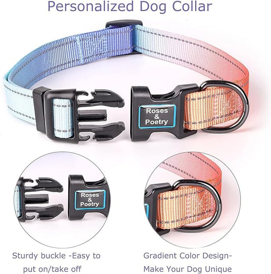 Roses&Poetry Reflective Dog Collar with Gradient Azure, Adjustable Durable Pet Collars for Small Medium Large Dogs (Azure-XS)