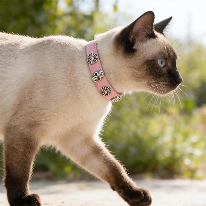 EXPAWLORER Cat Collar for Girl Boy Cats- Adjustable Leather Pet Collar with Safety Elastic Belt,Personalized Punk Accessories Buckle Collars with Bell & Durable D-Ring,Skull(Pink)