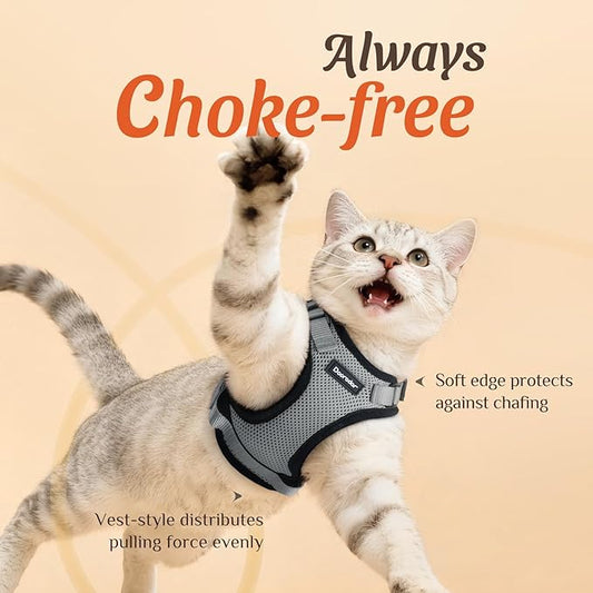 Dooradar Cat Harness and Leash Set, Escape Proof Safe Adjustable Kitten Vest Harnesses for Walking, Easy Control Soft Breathable Mesh Jacket with Reflective Strips for Cats, Grey, XXS