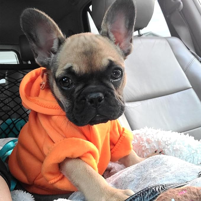 Jecikelon Winter Dog Hoodie Sweatshirts with Pockets Warm Dog Clothes for Small Dogs Chihuahua Coat Clothing Puppy Cat Custume (Orange, Large)