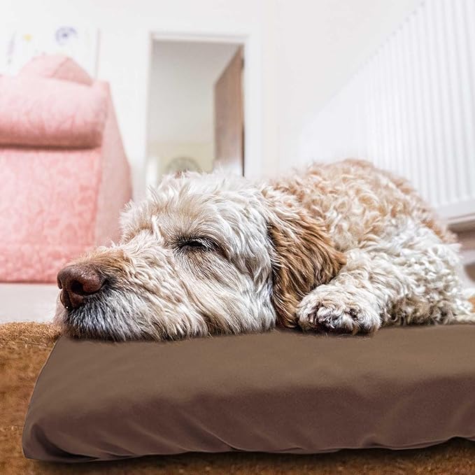Dog Bed Cover Waterproof Replacement Machine Washable Covers for Dog Bed Heavy Duty Scratch Resistant Mattress Protector Pet Bed 20x15 Inch Brown Cover Only