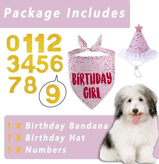 Dog Birthday Bandana Set, Light Pink Birthday Girl Decorations, HBD Party Supplies with Hat Bandana Numbers for Pets (Light Pink)
