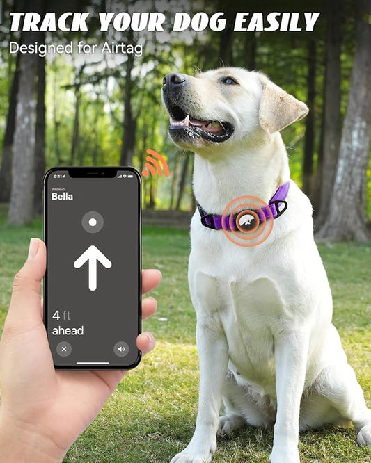 Joytale Airtag Dog Collar, Reflective Pet Collar with Waterproof AirTag Holder, Dual D-Rings, Soft Padded Adjustable for Extra Large Dogs, Purple, XL
