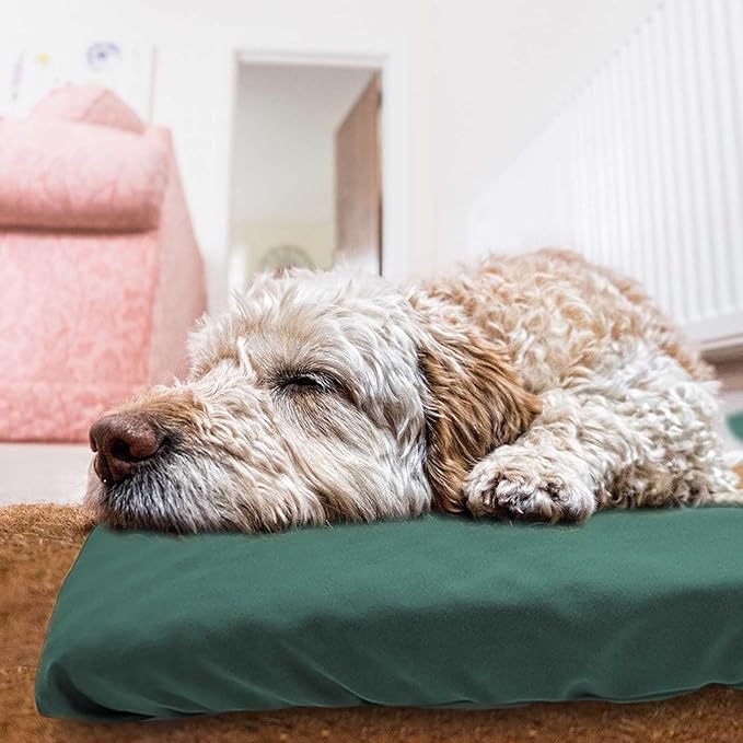 Dog Bed Cover Waterproof Replacement Machine Washable Covers for Dog Bed Heavy Duty Scratch Resistant Mattress Protector Pet Bed 44x32 Inch Dark Green Cover Only
