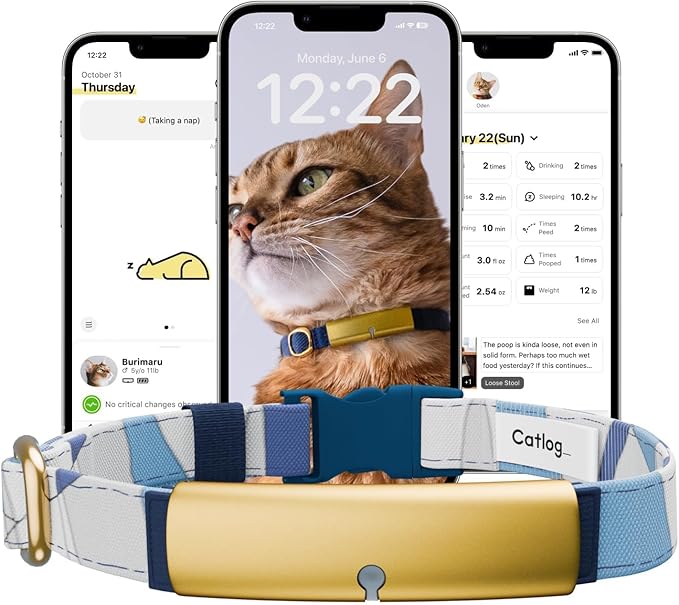 Health Tracker for Cats - Smart Cat Collar with Safety Breakaway Buckle for Indoor Cats, Wellness Alerts, Real-time Monitoring (BlueĂWave (Blue),S)