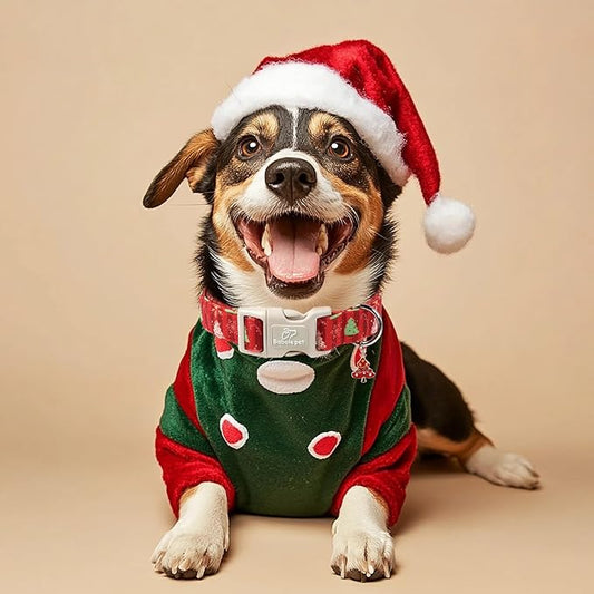 Christmas Dog Collar - Cute Red Christmas Tree Festive Puppy Collar with Safety Buckle, Soft Adjustable Holiday Dog Collars for Small Medium Large Dogs S