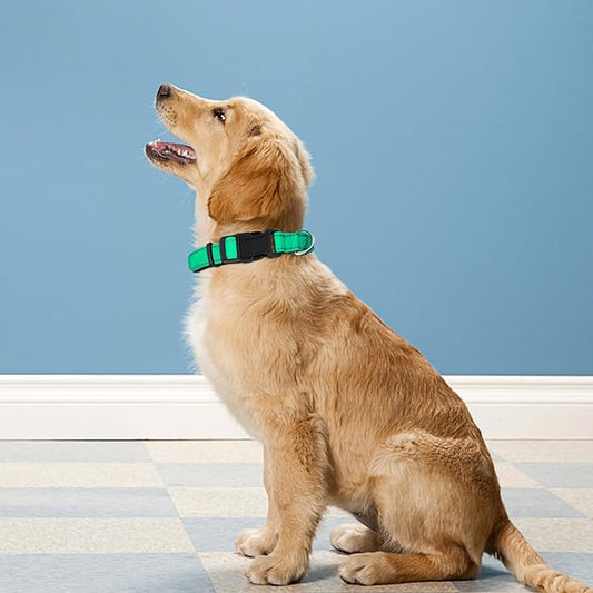Reflective Dog Collar, Adjustable Soft Neoprene Padded Nylon Pet Collars with Buckle for Puppy and Small Dogs, Cats, Grass Green,XS