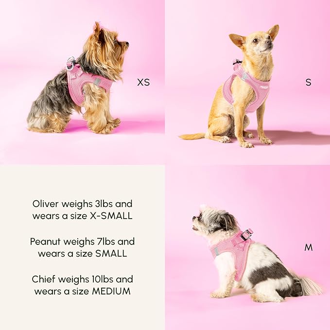 Downtown Pet Supply Step in Dog Harness for Medium Dogs - Adjustable, Escape Proof Dog Harness with Reflective Trim - All-Weather, Fast-Drying Padded Mesh Fabric - Baby Pink, M