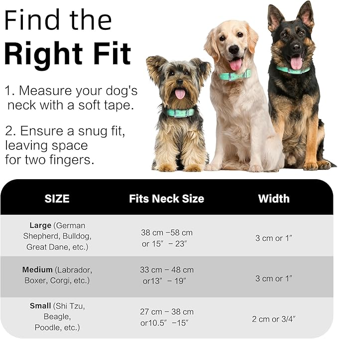 4.2FT Dog Collar and Leash Set, PVC Waterproof Adjustable Odor Proof Pet Collars Leashes, Easy to Clean, Surface 3D Cube Effect, Dog Leash for Small Dogs, Light Green