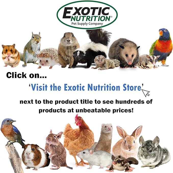 Nectar Pods Holder - Durable Cage Accessory for Nectar Pods - Sugar Gliders, Marmosets, Squirrels, Parrots, Cockatiels, Parakeets, Lovebirds, Birds, Hamsters, Day Geckos, Kinkajous & Other Small Pets