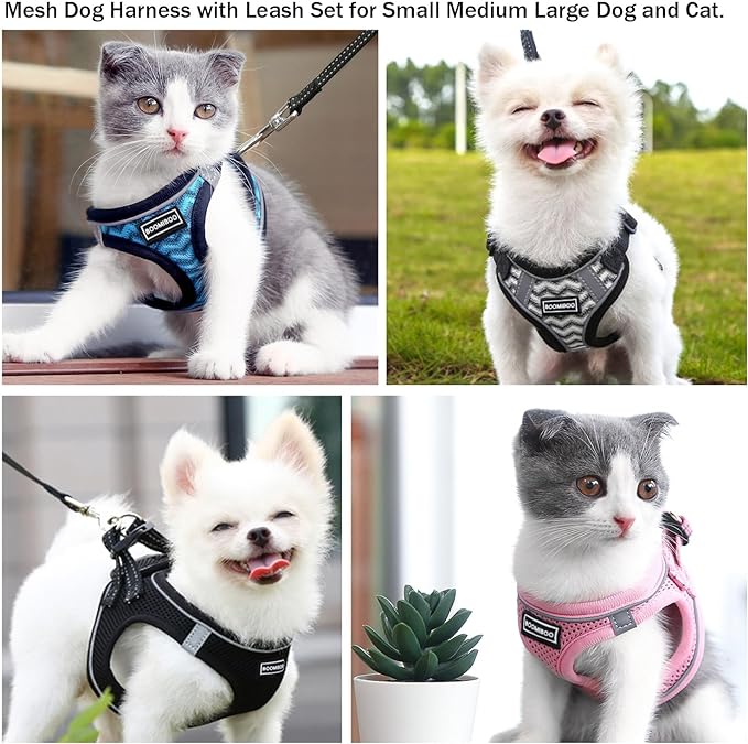 Dog Harness with Leash Set, No Pull Adjustable Reflective Step-in Puppy Pet Vest Harnesses for Small Medium Large Dogs and Cats,Cranberry L