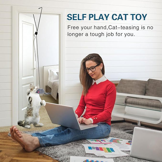 Kalimdor Interactive Cat Feather Toys,Retractable Teaser Toy ,Hanging Interactive Toys for Indoor Cats Kitten Play Chase Exercise, Kitten Mental Exercise Toys (1 Pack)