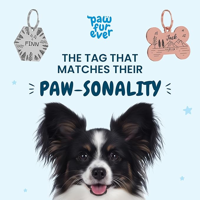 PawFurEver Custom Engraved Pet ID Tag β Personalized Dog Name Tag for Dogs and Cats, Stainless Steel Collar Accessory with Cute Designs for pet Name Tags (Hexagon, Gold)