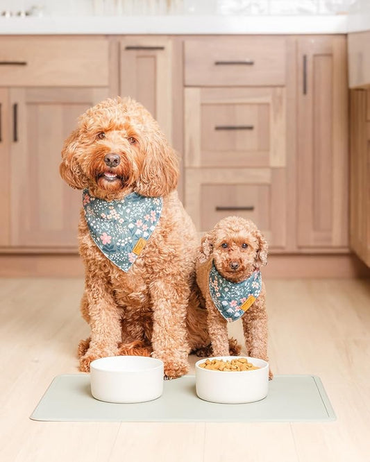 Remy+Roo Sage Silicone Dog Food Mat for Pet Bowl | 100% Waterproof | Non-Slip | Dishwasher Safe