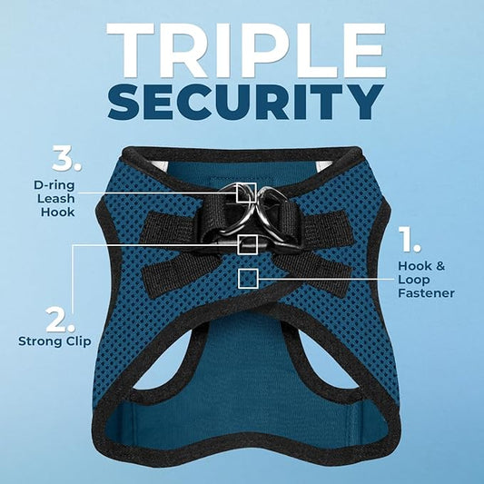 Best Pet Supplies Voyager Step-in Air All Weather Mesh Harness and Reflective Dog 5 ft Leash Combo with Neoprene Handle, for Small, Medium and Large Breed Puppies - Blue/Black Trim, Small