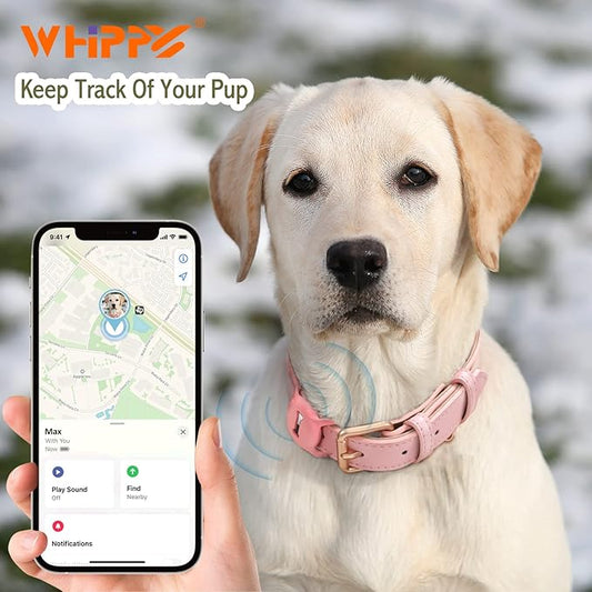 WHIPPY Airtag Leather Dog Collar GPS Tracker Air Tag Puppy Collar Adjustable Soft Leather Padded Dog Collar with Airtag Holder Case for Small Medium Large Dog Pet Backpack,Pink,XS
