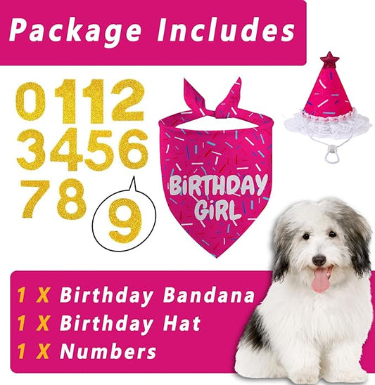 Dog Birthday Bandana Set, Rose Pink Birthday Girl Decorations, HBD Party Supplies with Hat Bandana Numbers for Pets (Pink)