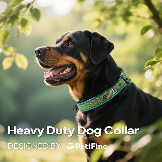 PetiFine Dog Collars for Small Dogs, Neoprene Padded and Adjustable, Reflective Wide Heavy Duty Pet Collars with Durable Metal Belt Buckle for Walking, Teal&Orange, S