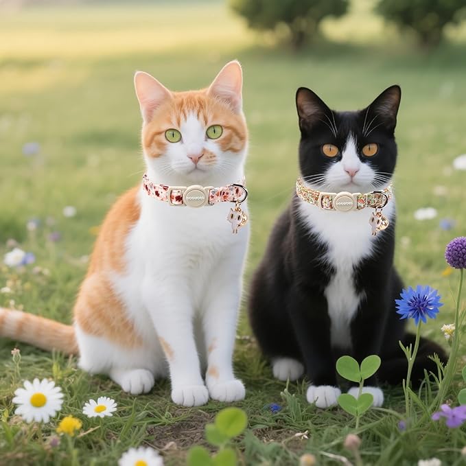Cat Collar,2 Pack Cute Cat Collars Breakaway with Bell- Safety Buckle Flower Daisy Orange Cat Collar for Girl Cats and Small Dogs,Adjustable 7-12 Inch,Pet Supplies Accessories