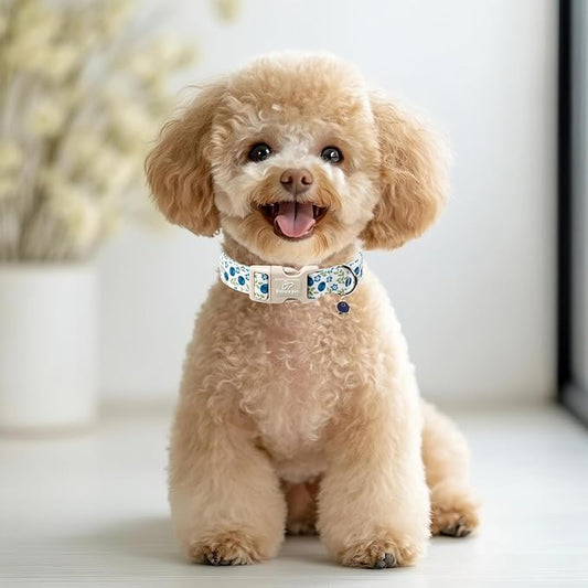Spring/Summer Dog Collar for Medium Dogs - Fresh Blueberry Girl Boy Dog Collars, Soft Lightweight Puppy Collar, Breathable Adjustable Male Female Fruit Floral Dogs Collars M