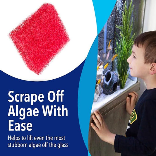 Evergreen Pet Supplies Aquarium Glass Cleaner Sponge - Non-Scratch Aquarium Glass Scrubber - Durable Tank Sponge Cleaner - Ergonomic Fish Tank Pad - Pack of 4, Red, 3.25 in x 3.25 in x 1 in