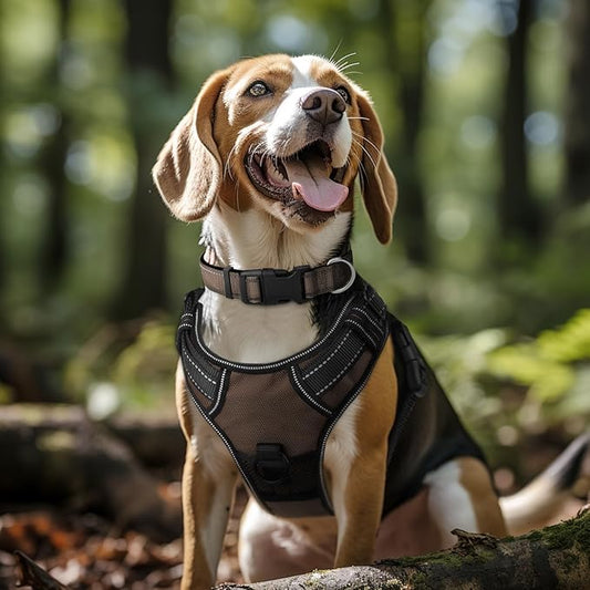 Joytale Reflective Dog Collar, Soft Neoprene Padded, Metal D-Ring, Nylon Pet Collar Adjustable for Medium Dogs, Brown, Medium