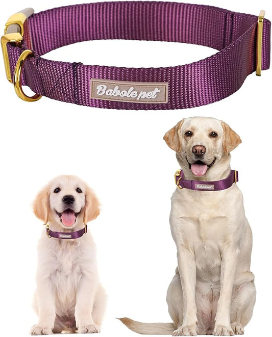Nylon Dog Collar - Adjustable Deep Purple Soft Webbing Dog Collars for Small Medium Large Dogs Boy Girl Puppy Collar with Safety Metal Buckle L