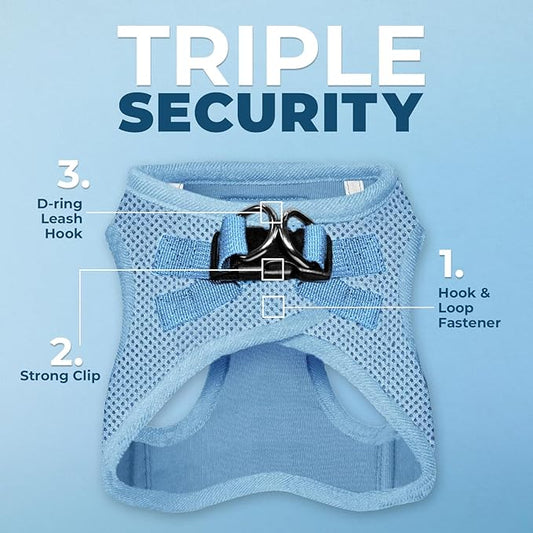 Best Pet Supplies Voyager Step-in Air All Weather Mesh Harness and Reflective Dog 5 ft Leash Combo with Neoprene Handle, for Small, Medium and Large Breed Puppies - Set (Baby Blue), S