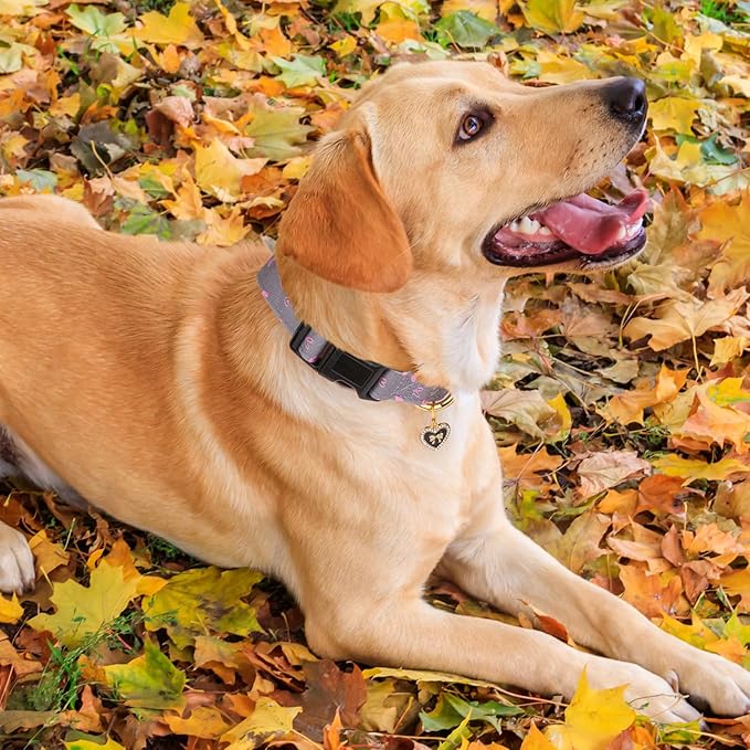 Cotton Handmade Dog Collar Cute and Distinctive Patterns Grey Heart with Pendant for Girl Boy Dogs Collars M