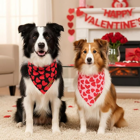 ADOGGYGO Valentine Dog Bandana 2 Pack, Reversible Red Pink Heart Pet Scarf Bib, Adjustable Fit Valentine Bandanas for Medium Large Dogs (Large)