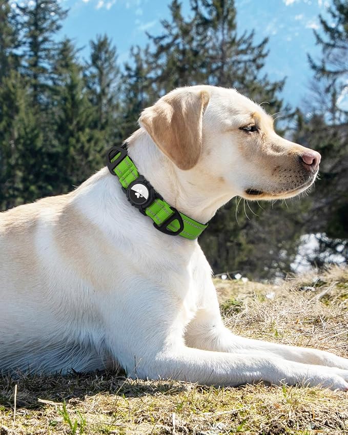 Joytale Airtag Dog Collar, Reflective Pet Collar with Waterproof AirTag Holder, Dual D-Rings, Soft Padded Adjustable for Extra Small and Puppy Dogs, Green, XS