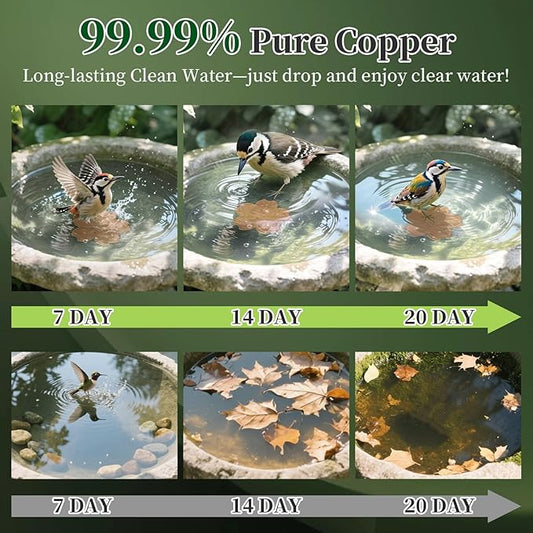 99.99% Pure Copper Bird Bath Disk, Triple-Point Support Design Lower Cleaning Frequency for Physical Safe Water Purify Outdoor Bird Bowls All-Season