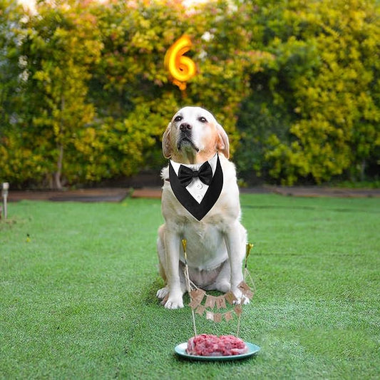 ADOGGYGO Formal Dog Tuxedo, Wedding Dog Bandana Collar with Bowtie, Adjustable Pet Birthday Wedding Tux Outfit for Extra Large Dogs (XL, Black)