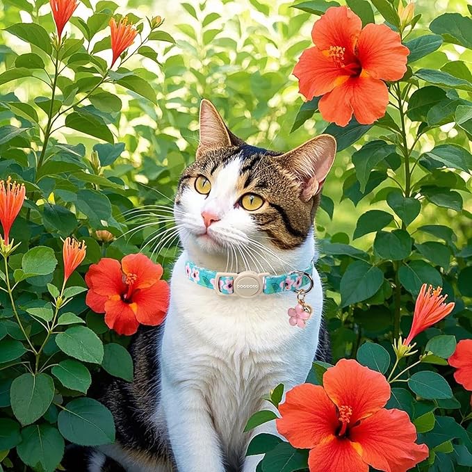 Cat Collar,2 Pack Pink Flower Cat Collars Breakaway with Bell, DOGWONG Safety Buckle Pink Flower Cat Collar for Girl Female Cats,Adjustable 7-12 Inch