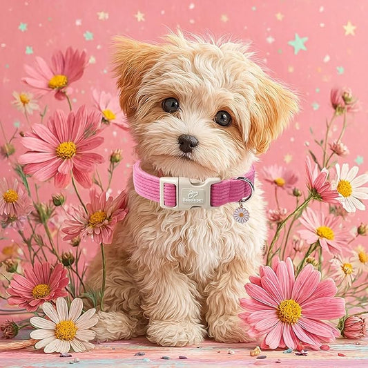 Cute Corduroy Dog Collar - Pink Adjustable Dog Collars for X-Small Dogs 4-10lbs, Fade-Proof with Secure Snap & Little Charm, Christmas Birthday Gift, XS