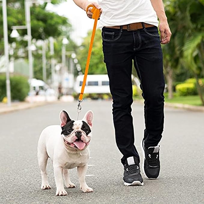 Long Dog Puppy Obedience Recall Training Agility Lead, Leash - ORANGE, 50' Foot - by, Downtown Pet Supply