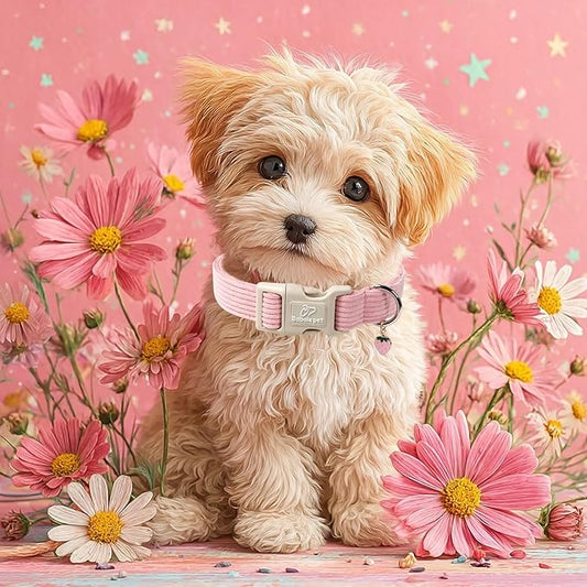Cute Corduroy Dog Collar - Pink Adjustable Dog Collars for Medium Dogs 25-50lbs, Fade-Proof with Secure Snap & Little Charm, Christmas Birthday Gift, M