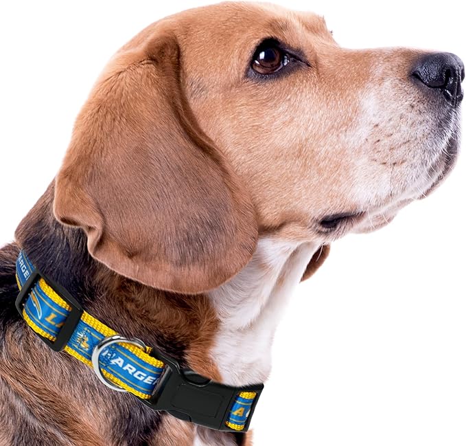 NFL PET Collar Los Angeles Chargers Dog Collar, Large Football Team Collar for Dogs & Cats. A Shiny & Colorful Cat Collar & Dog Collar Licensed by The NFL
