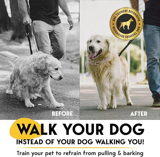PetJett Prong Collar for Dogs Training Collar Adjustable Choke Collar for Dog Quick Release Pinch Collar for Dog for Small Medium Large Dogs No Pull Walking Tool - Stainless Steel Metal Choker Chain