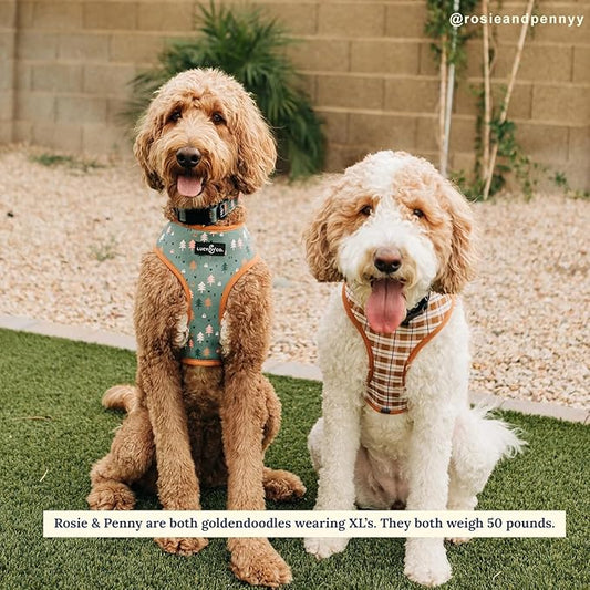 Lucy & Co. Take a Hike Reversible Dog Harness - Best Designer Pet Harnesses for XS - XL Dogs - Padded Adjustable Vest for Easy Walking (X-Small, Neutral Brown Plaid with Blue Trees)