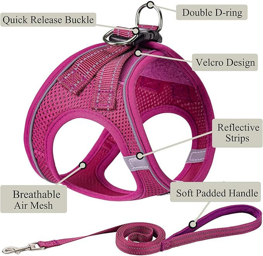 Dog Harness with Leash Set, No Pull Adjustable Reflective Step-in Puppy Pet Vest Harnesses for Small Medium Large Dogs and Cats,Rose Red S