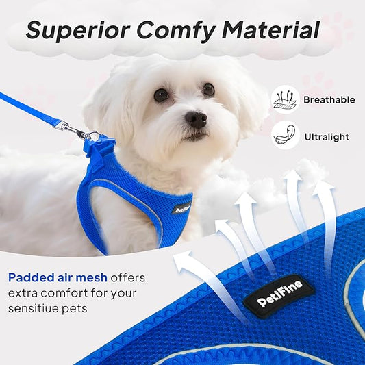 PetiFine Step in Small Dog Harness and Leash Set, Breathable All Weather Air Mesh Reflective Escape Proof, Step-in Vest Harnesses for Puppy(S, Baby Blue)