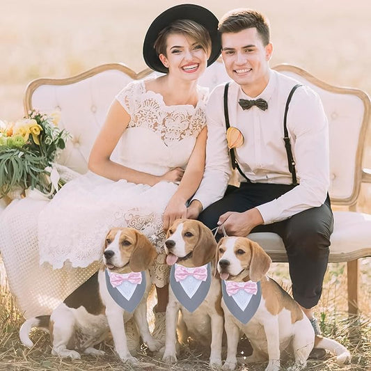 ADOGGYGO Formal Dog Tuxedo Wedding Pet Bandana Collar with Bowtie, Adjustable Birthday Wedding Formal Tux Costumes for Small Dogs Pets (S, Grey)
