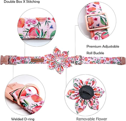 Lionheart glory Dog Collar with Flower Pink Peach Dog Collar Girl Soft Durable Adjustable Collar Bows Spring Collar Dog Flower for Large Dogs